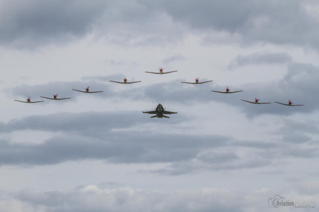Mc Donnell Douglas F/A-18C 