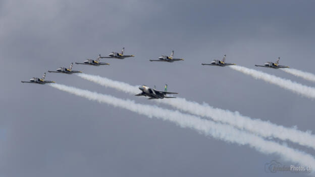 Aero L-39 Albatros & McDonnell Douglas F-15C Eagle