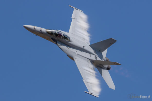 Boeing F/A-18F Super Hornet