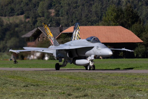 Mc Donnell Douglas F/A-18C Hornet