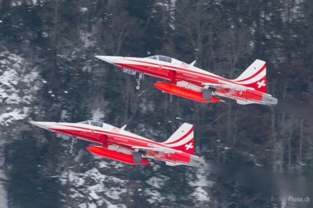 Northrop F-5E 