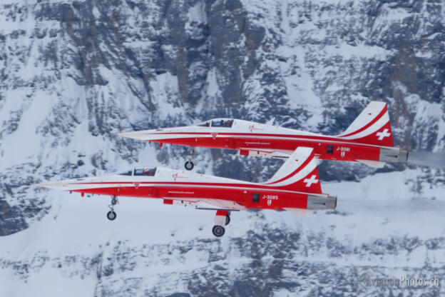 Northrop F-5E Tiger II & Airbus A-321