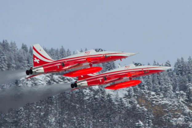 Northrop F-5E 