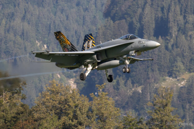 Mc Donnell Douglas F/A-18C Hornet