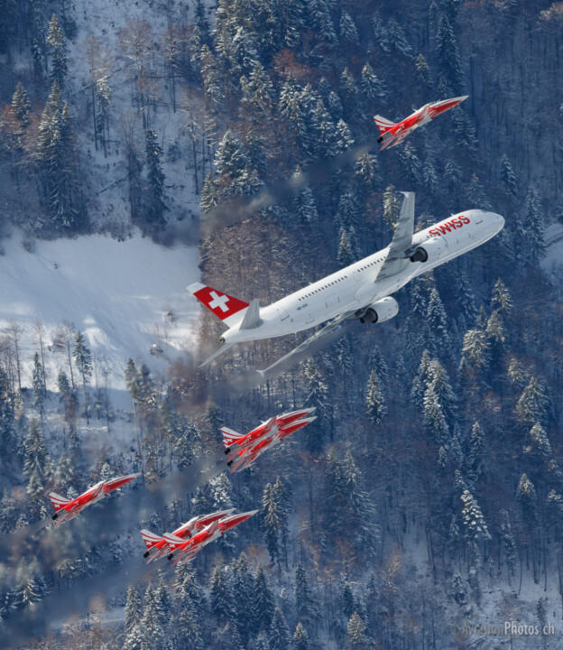 Northrop F-5E Tiger II & Airbus A-321