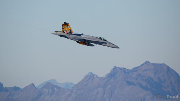 Mc Donnell Douglas F/A-18C Hornet