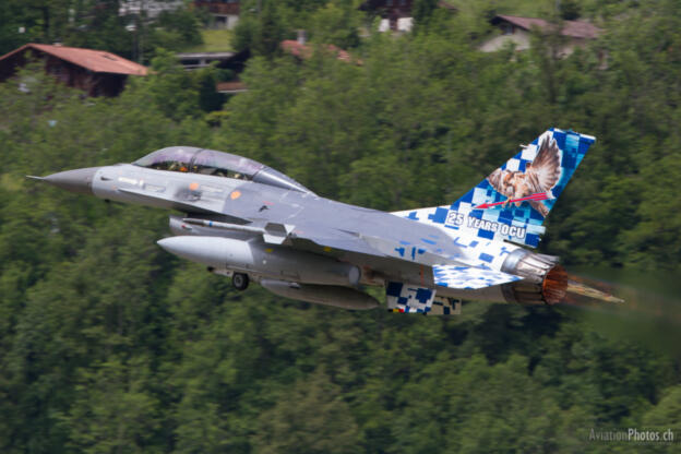 General Dynamics (SABCA) F-16BM Fighting Falcon (401) 
