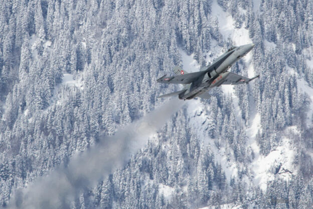 Mc Donnell Douglas F/A-18C 